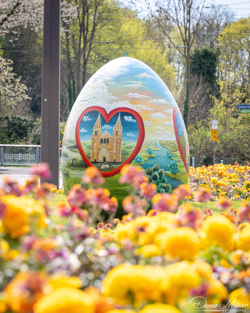 DSC_1981 2 | Fotografien, Fotos und Bilder aus Mainz, Frankfurt, Wiesbaden und anderen Orten auf der Welt - Fotografiert von Darius Metzner