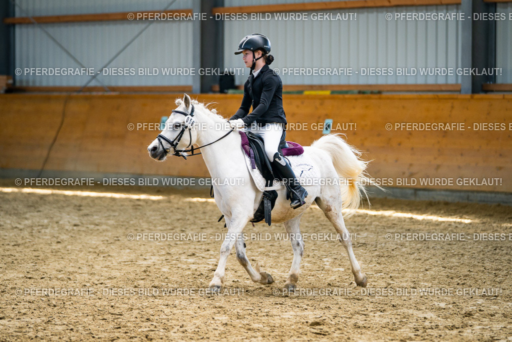 DSC02246 | Pferdegrafie