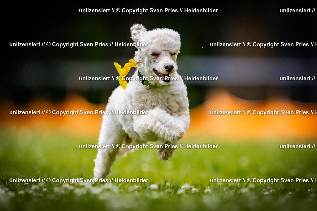 Sven Pries | 2025-05-29 - Pudelrennen KA-Durlach - Realisiert mit Pictrs.com