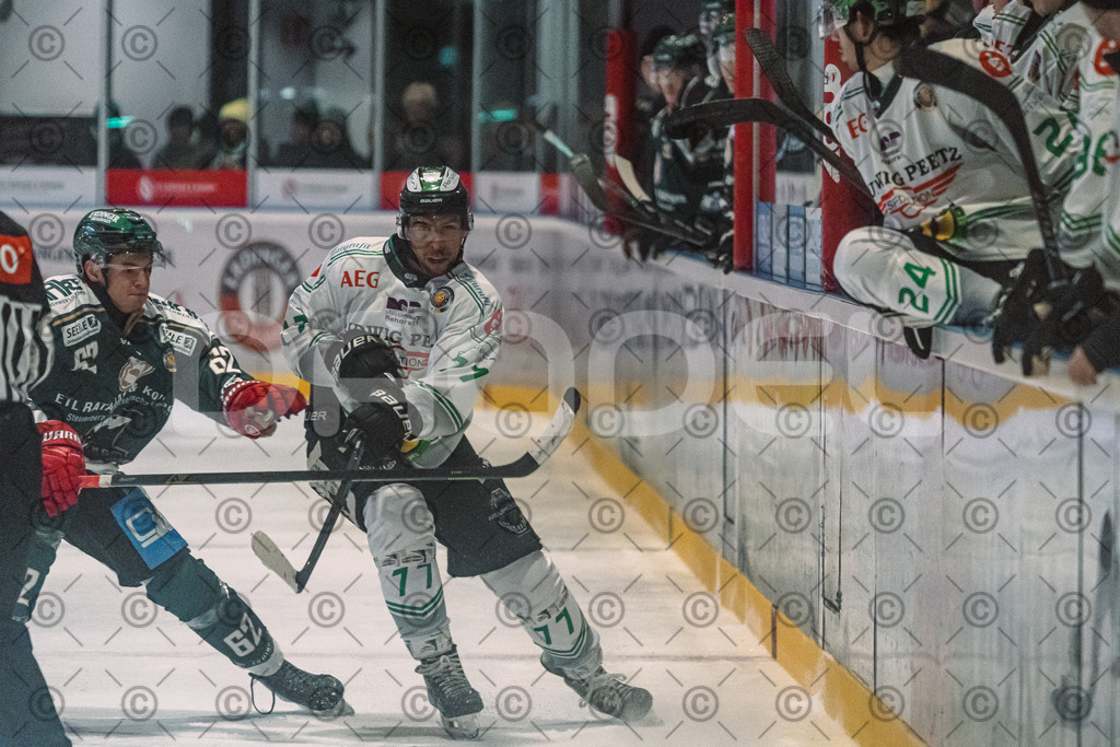 Erding_vs_Alligators_02_01_2026-63 | Höchstadt Alligators Fotogalerie: Eishockey-Action aus Franken. Professionelle Spielfotos, Portraits & Stadionbilder zum Download. Jetzt entdecken! - Realisiert mit Pictrs.com