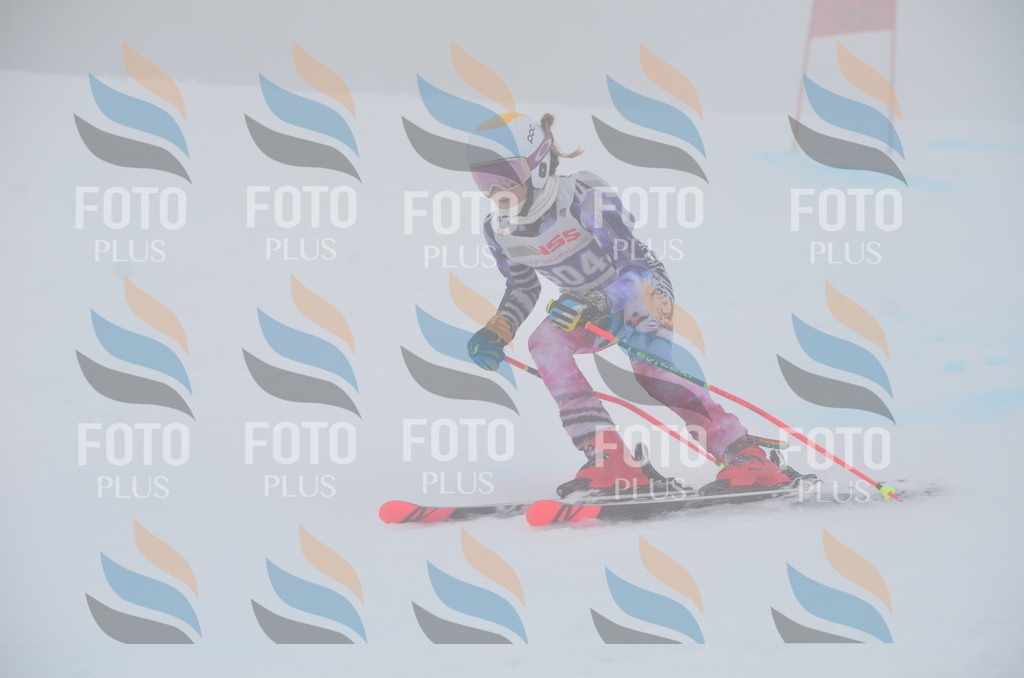 B7165 | holidayphoto