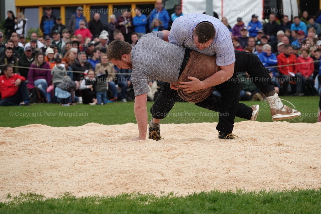 DSC03363 | Schwingen - Realisiert mit Pictrs.com