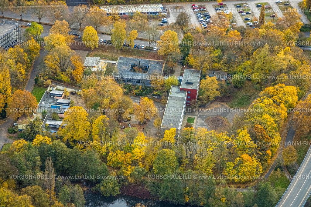 Hagen251101304 | Luftbild, Meinolfschule, Städt. Kath. Grundschule, Kindertagesstätte Ischeland, herbstliche Bäume, Altenhagen, Hagen, Ruhrgebiet, Nordrhein-Westfalen, Deutschland