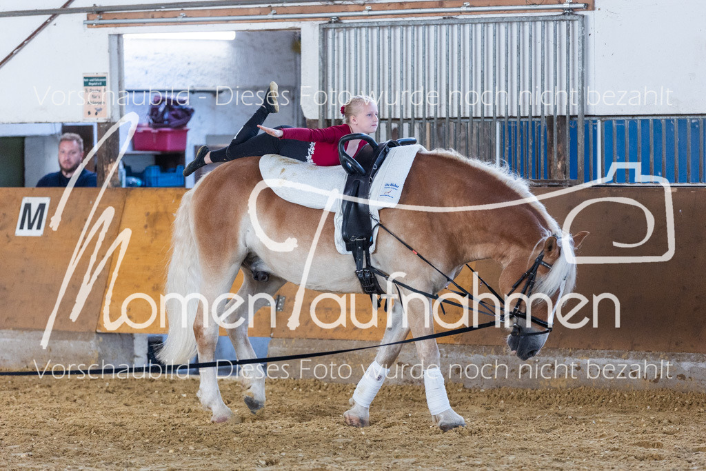 SS-Mini-096 | MomenTaufnahmen Pferdesportfotos