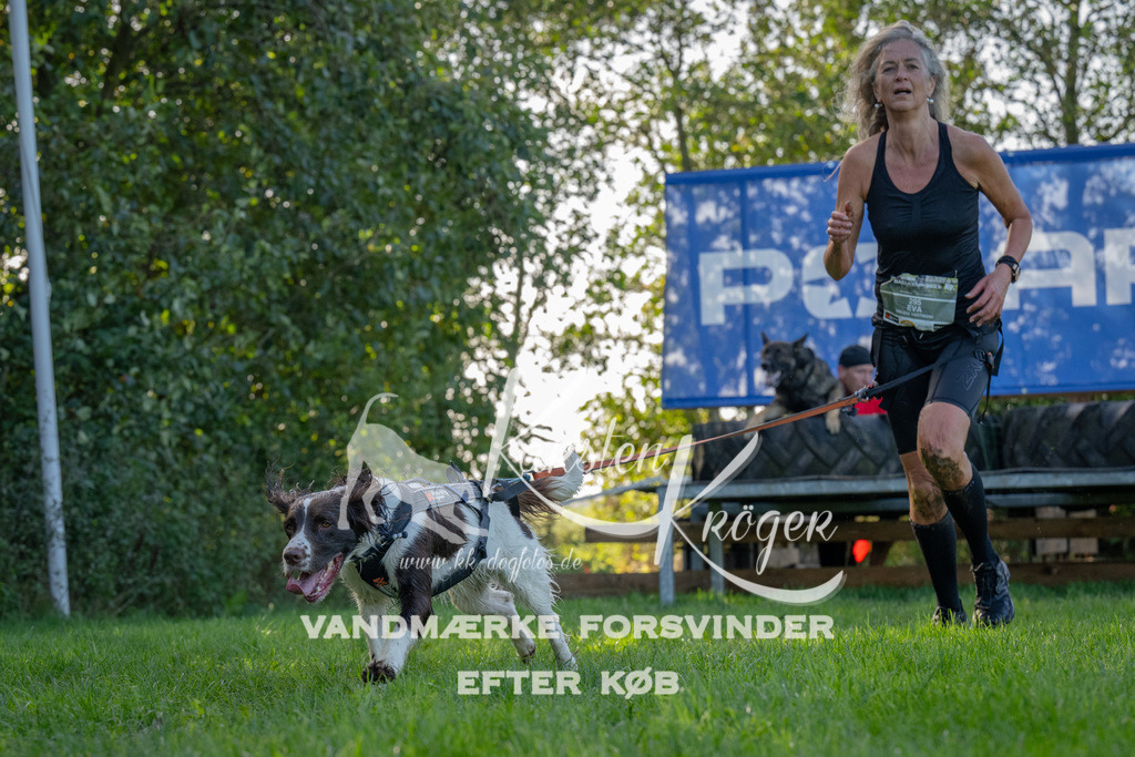 1129-92121 | kk-dogfotos