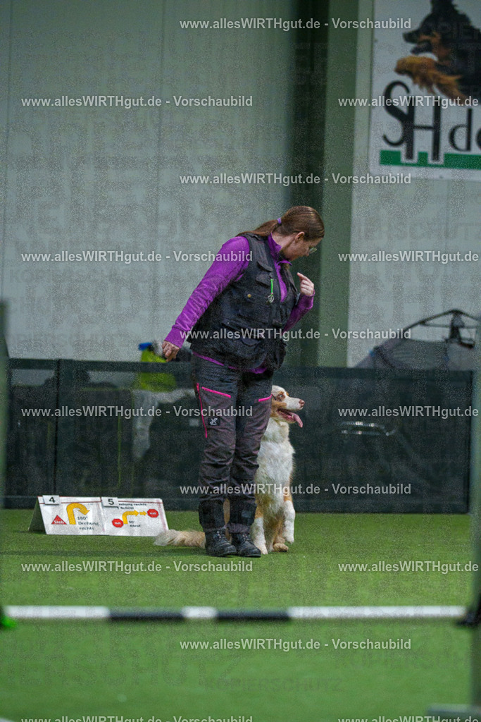 7R503869 | Professionelle Tierfotografie in Mönchengladbach von Daniel Wirth (allesWIRTHgut). Liebevolle & natürliche Bilder von Hunden & Katzen für unvergessliche Erinnerungen.