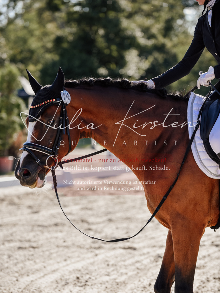 DSC_0358 | Pferde- und Turnierfotografie in Westsachsen. Pferdeportraits, Auftragszeichnungen und intuitive Kunst.