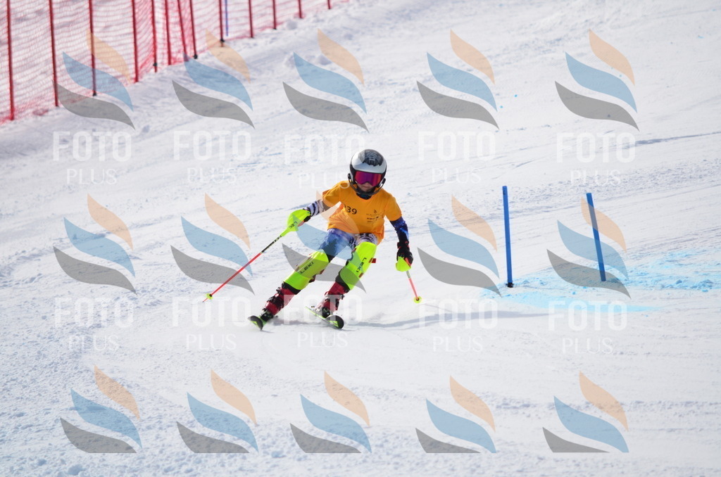 C8368 | holidayphoto