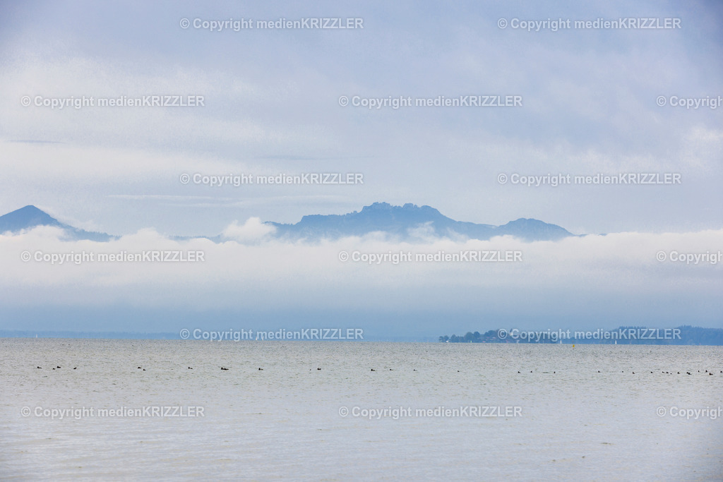 _J3A8658 | medienkrizzler - Realisiert mit Pictrs.com