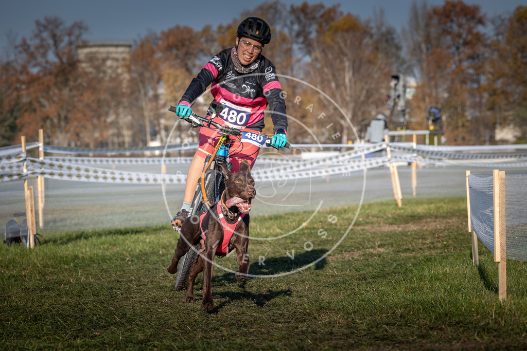 CaniXpix_0L8A4689 | Hundefotografie, Tierfotograf, Pfotenfotografie, Fotoshooting Hund, Hunde Portrait, Hundesport, Hundeportraits, Heideshooting, Hunde, Sportfotograf, Hundefotograf, Turnierhundsport, THS,  - Realisiert mit Pictrs.com