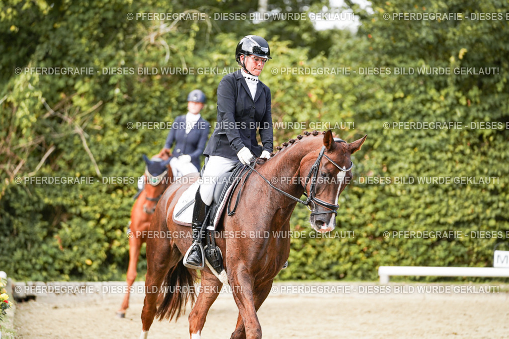 DSC02636 | Pferdegrafie