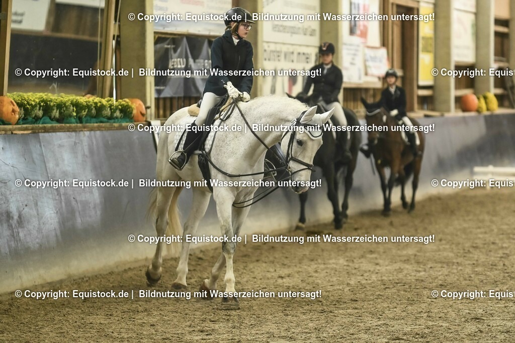 20231029_02_Reiter-WB_Schritt-Trab_Abteilung-01_0031 | Foto: Thomas Hartig