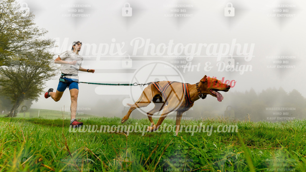 MompixPhotography_20TSB_E5_Run-13 | PayLife