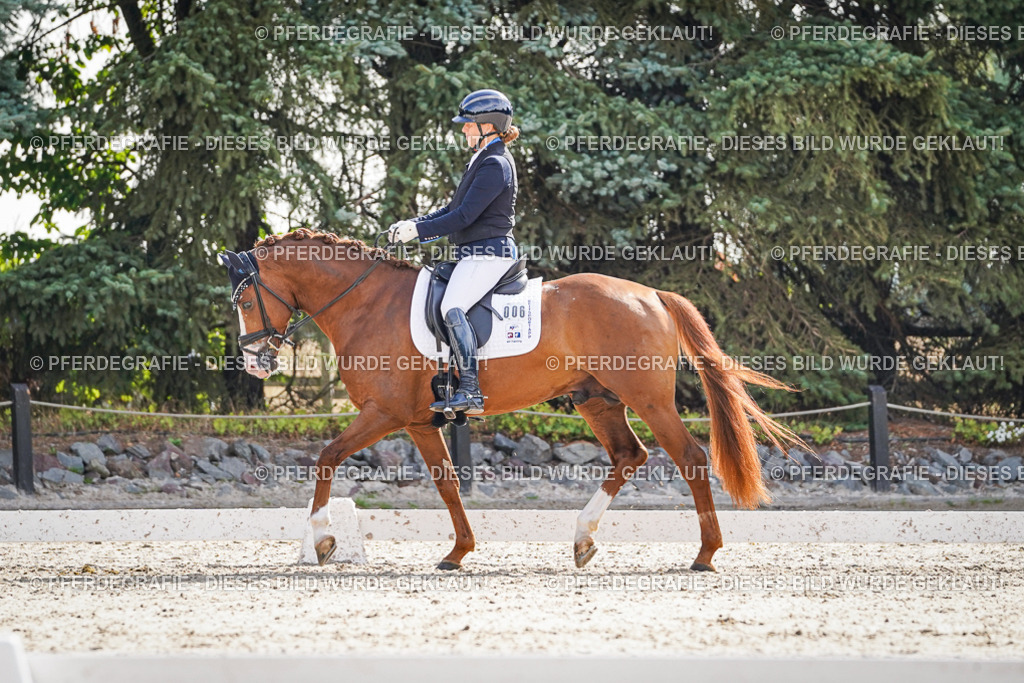 DSC06428 | Pferdegrafie