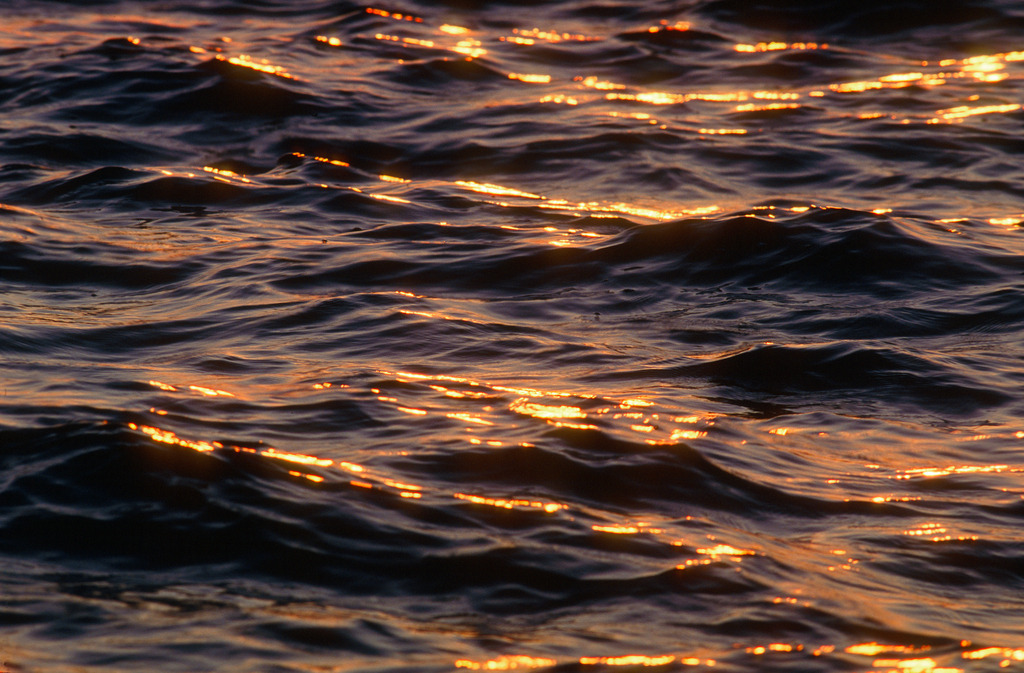 Goldene Wellen | Bregenz, Austria: Goldene Wellen am Bodensee. - Realisiert mit Pictrs.com