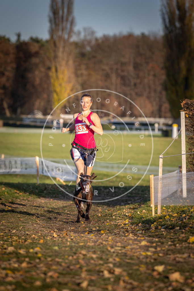 CaniXpix_DV3A3462 | Hundefotografie, Tierfotograf, Pfotenfotografie, Fotoshooting Hund, Hunde Portrait, Hundesport, Hundeportraits, Heideshooting, Hunde, Sportfotograf, Hundefotograf, Turnierhundsport, THS,  - Realisiert mit Pictrs.com