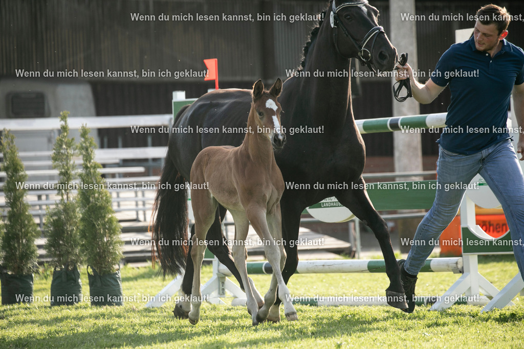 598A7367 | photographylinaismer - Realisiert mit Pictrs.com