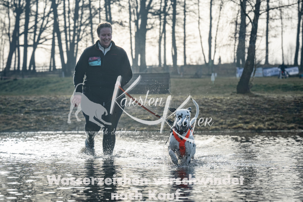0855_ZZ99197 | kk-dogfotos