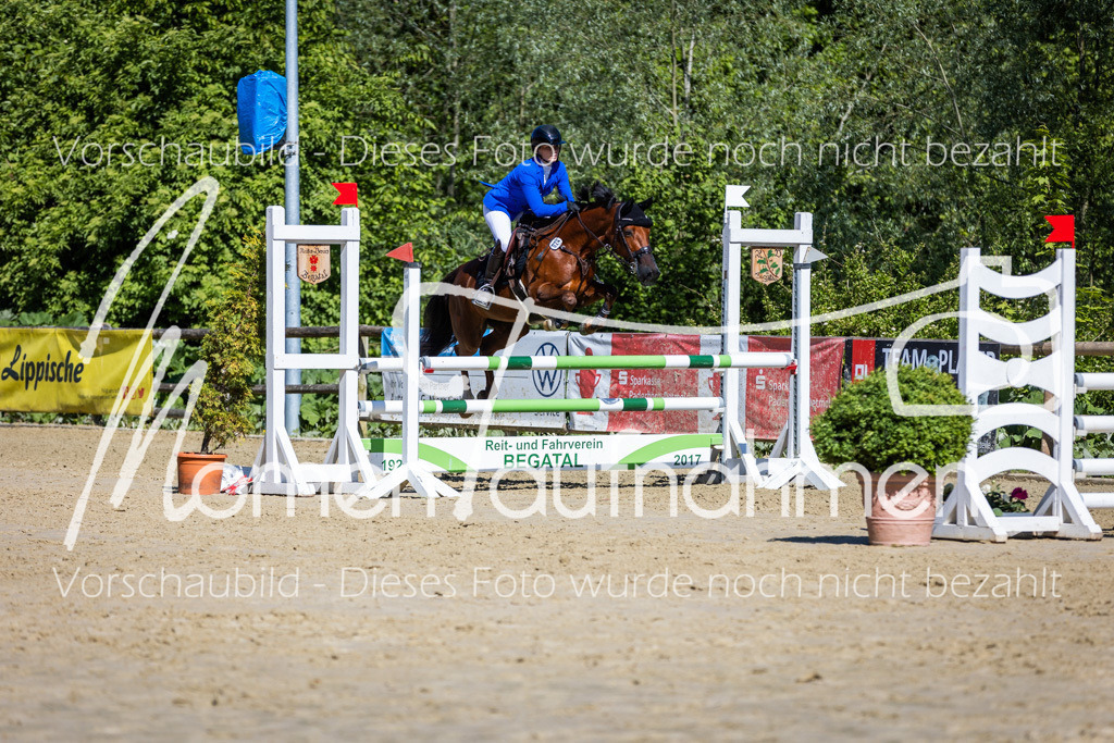 Donop24-A2Spr-164 | MomenTaufnahmen Pferdesportfotos