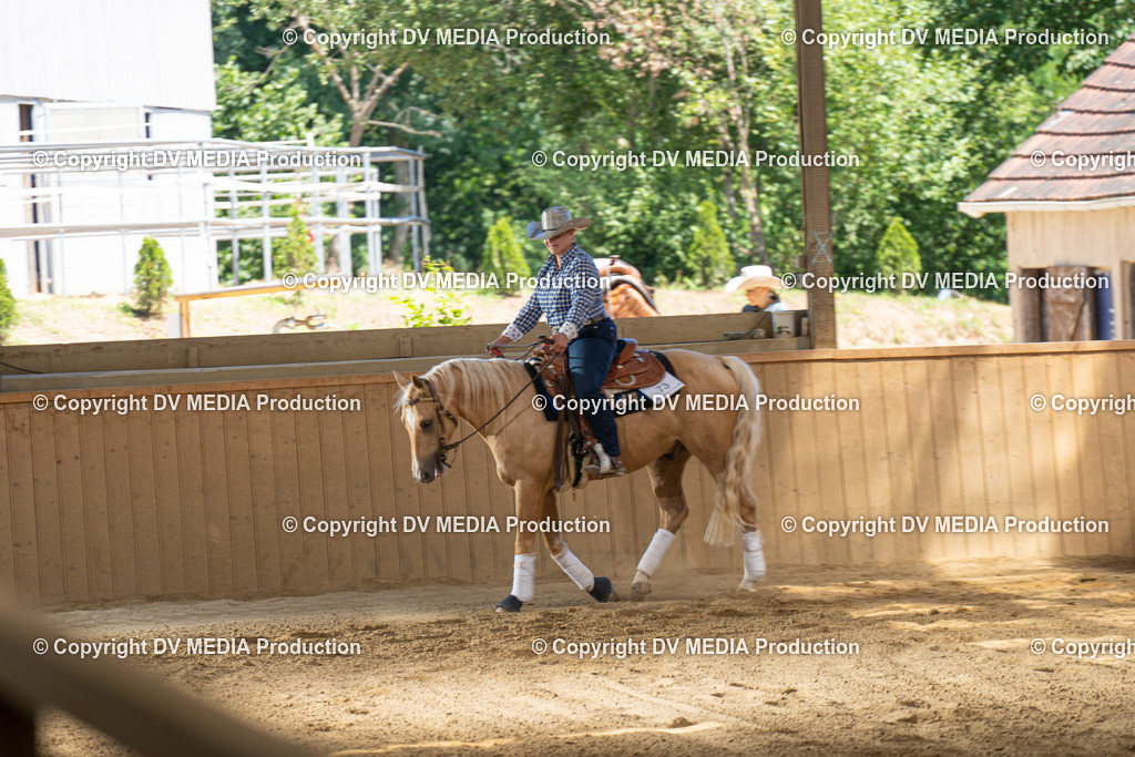 DSC00066 | dv-media-shop - Realisiert mit Pictrs.com