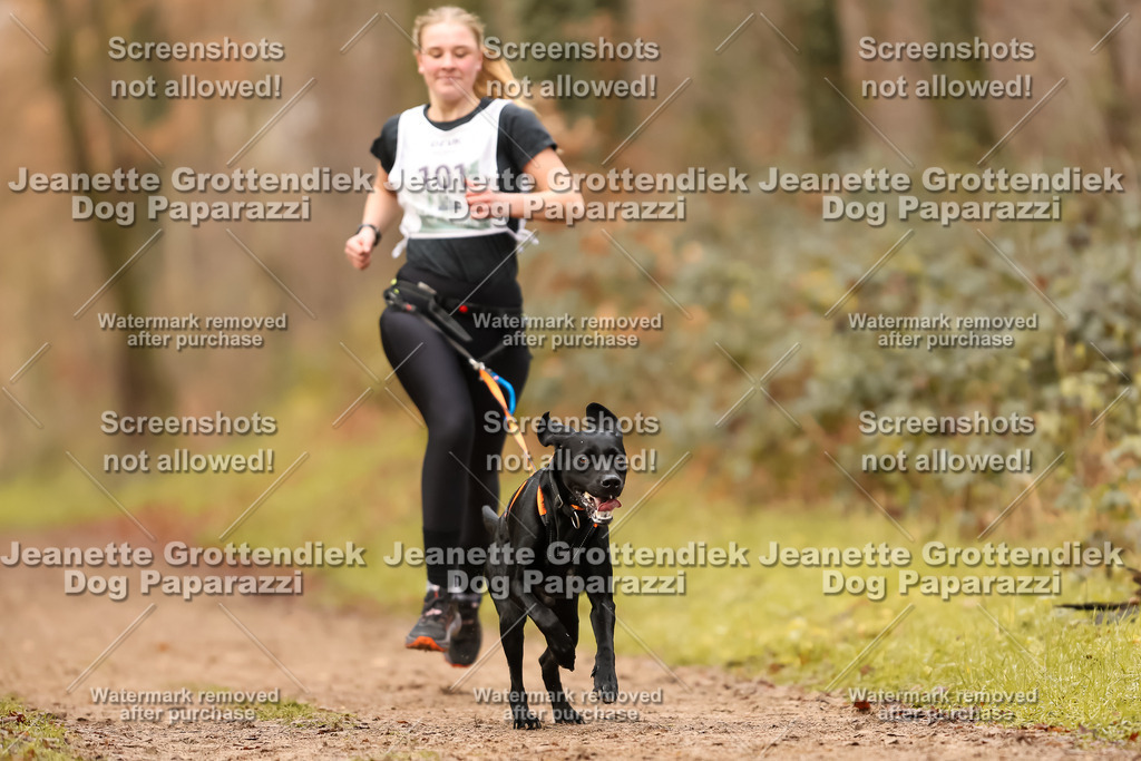 Dog Paparazzi - Speedhunter Mannheim  2025-283 | Dog Paparazzi Jeanette Grottendiek Fotografie & Videografie