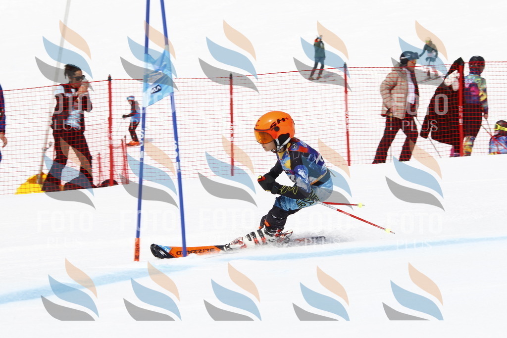 _U3G5532 | holidayphoto