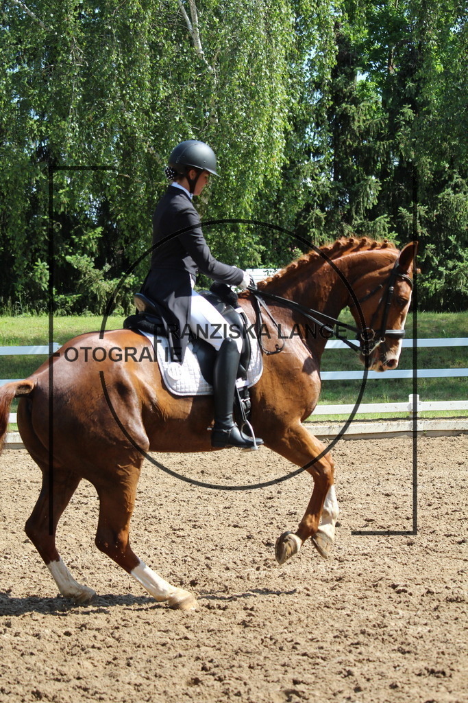 IMG_7161 | franziskalange - Realisiert mit Pictrs.com