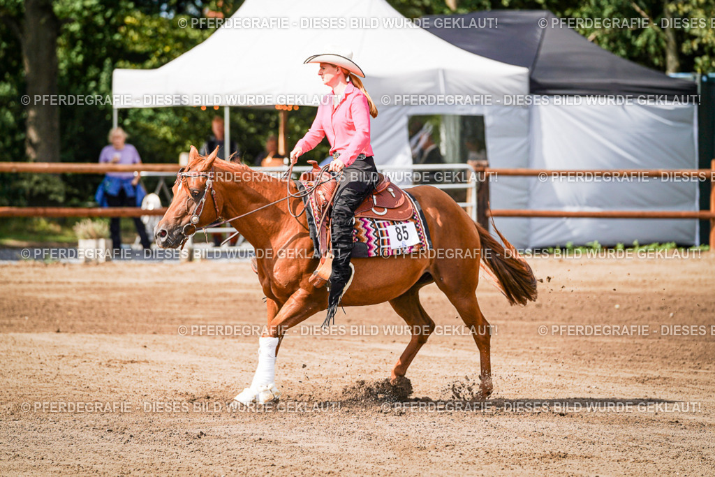 DSC09415 | Pferdegrafie