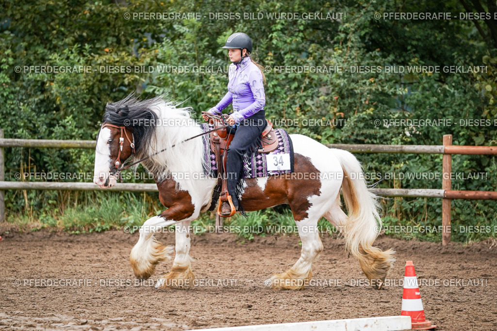 DSC03450 | Pferdegrafie