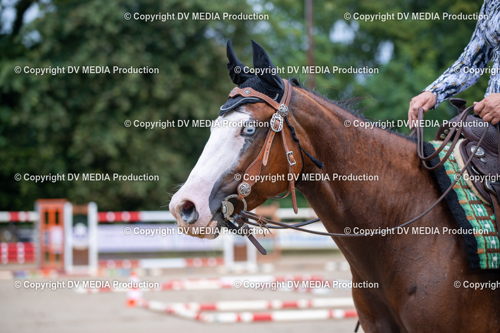 ZS2_3870 | dv-media-shop - Realisiert mit Pictrs.com