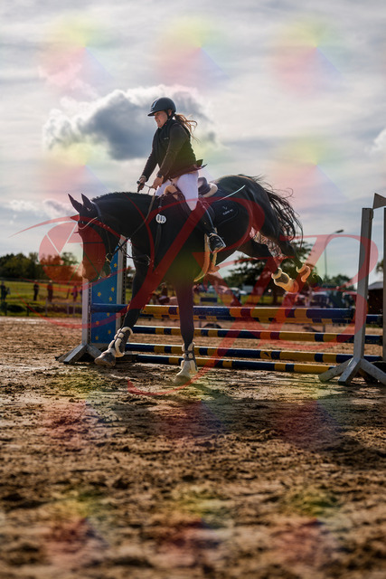 2026_10_03_Siefer-Hof_154316_Z63_09152281 | Professionelle Reitsport-, Turnier- und Eventfotografie von Robert Broda. Galerien mit ausgewählten und bearbeiteten Bildern direkt online ansehen und bestellen.