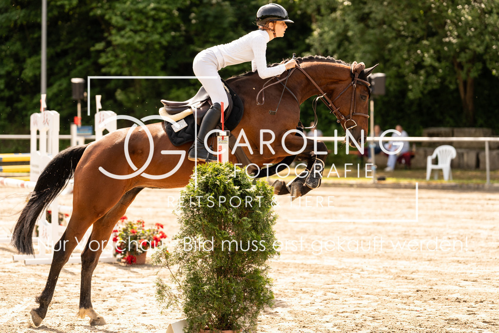 DSC02293 | Carolin Gieschke