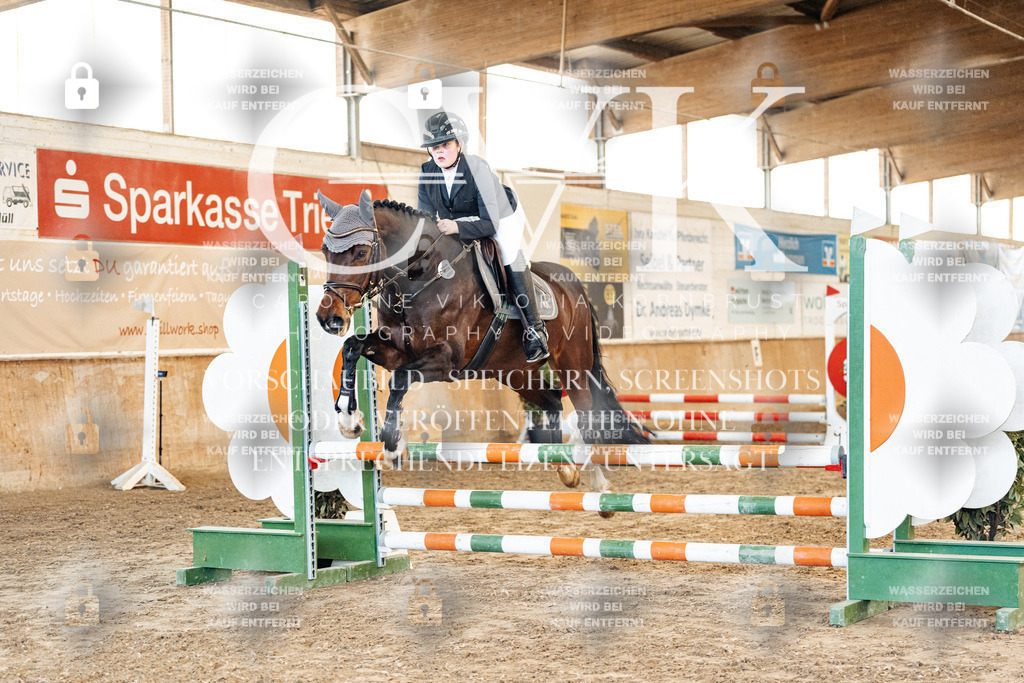 CK904029 | Turnierfotografie Pferdefotografie Trier Rheinland-Pfalz Pferdesport Reitsport Tierfotografie Sportfotografie Pferdevideo Pferdevideografie Equestrianvideography equestrianphotography  - Realized with Pictrs.com
