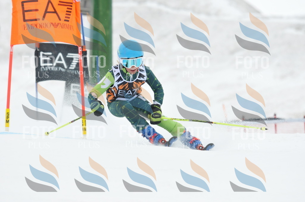 DSC_8764 | holidayphoto