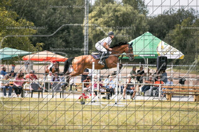 _W6A9136 | ronjaprokoschfotografie - Realisiert mit Pictrs.com