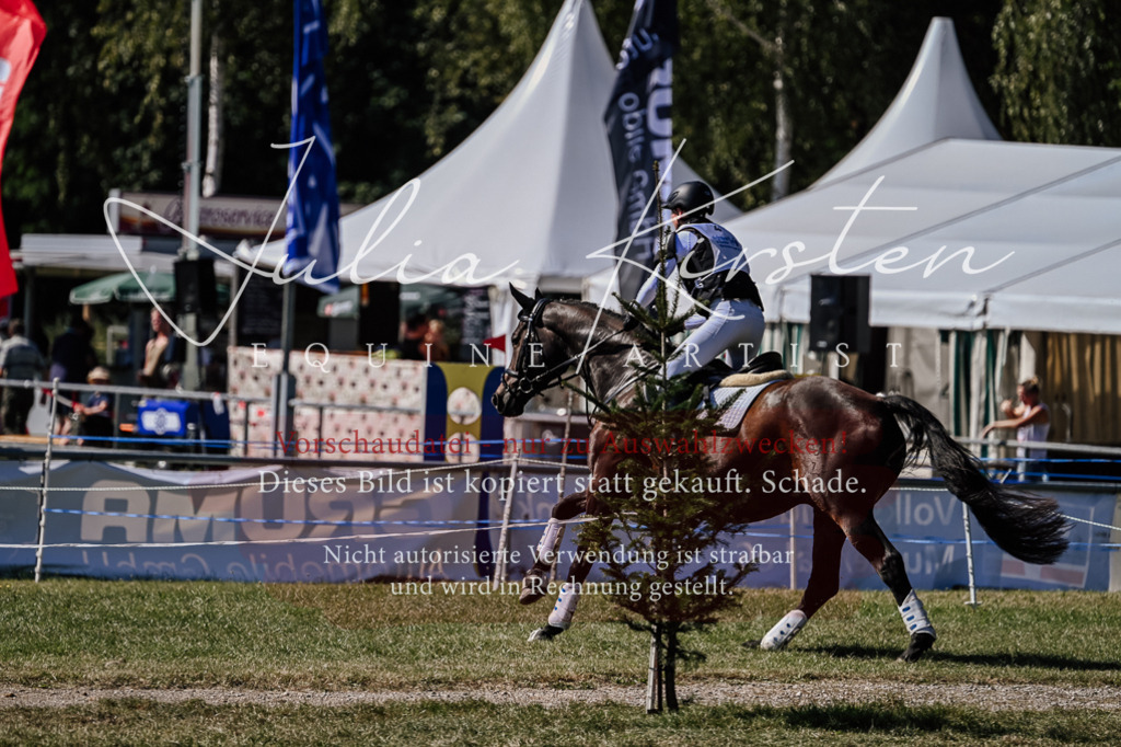 DSC_1445 | Pferde- und Turnierfotografie in Westsachsen. Pferdeportraits, Auftragszeichnungen und intuitive Kunst.