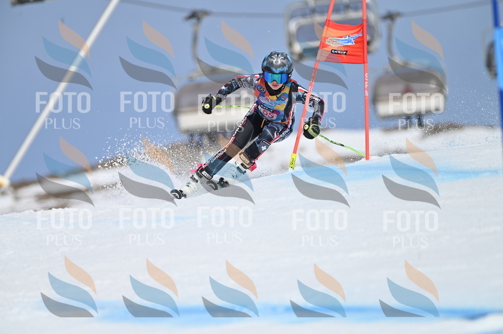 BGV_0135 | holidayphoto