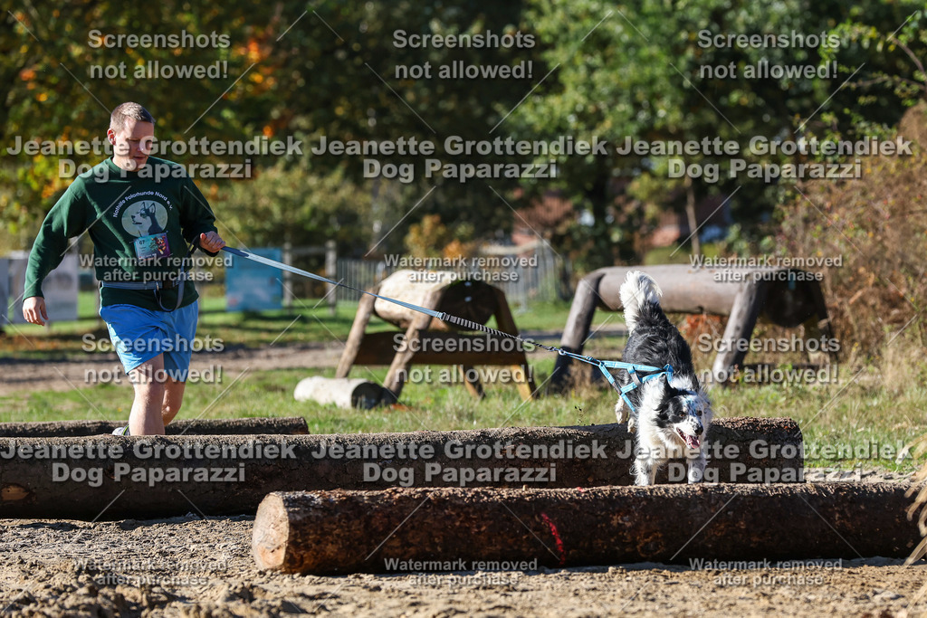 Dog Paparazzi - Strongdog 10-25-2684 | Dog Paparazzi Jeanette Grottendiek Fotografie & Videografie - Realisiert mit Pictrs.com