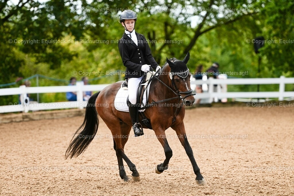 20230716_10-2_Reiter-WB Schritt - Trab - Galopp_0109 | equistock