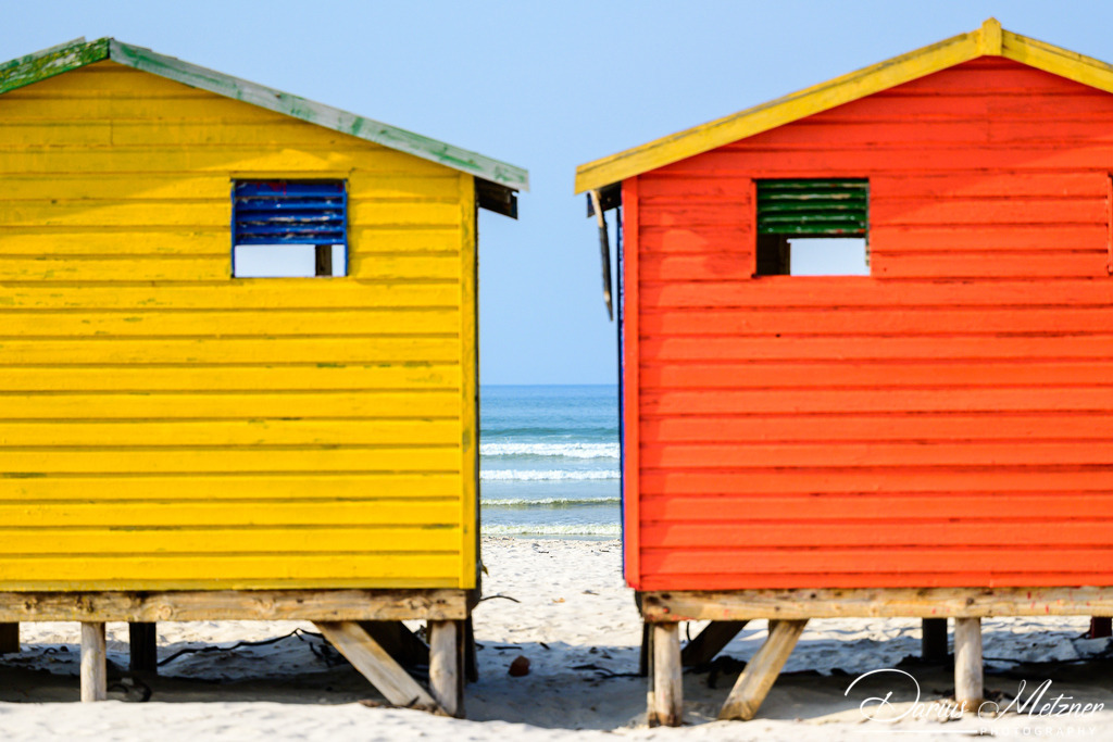 _DSC6595 | Fotografien, Fotos und Bilder aus Mainz, Frankfurt, Wiesbaden und anderen Orten auf der Welt - Fotografiert von Darius Metzner