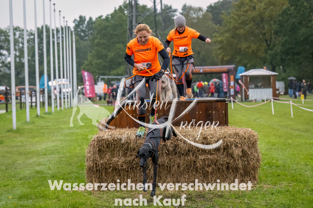 1009-2-3 | kk-dogfotos