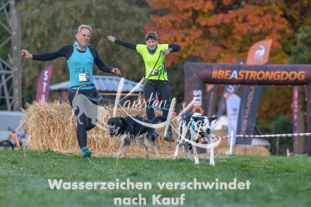 0834_ZZ90792-Bearbeitet | kk-dogfotos