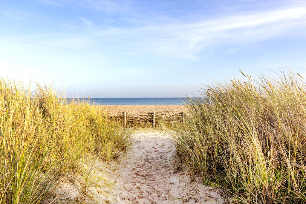 Wandbild: Weg ans Meer in Weidefeld | Dieses Wandbild im Querformat zeigt einen schönen Sandweg inmitten von Strandhafer an den Weidefelder Strand. Direkt am Strand ist ein Sandfang zu sehen. Dahinter befindet sich der Strand und die Ostsee. Am Himmel befinden sich nur einige Schleierwolken.  - Realisiert mit Pictrs.com