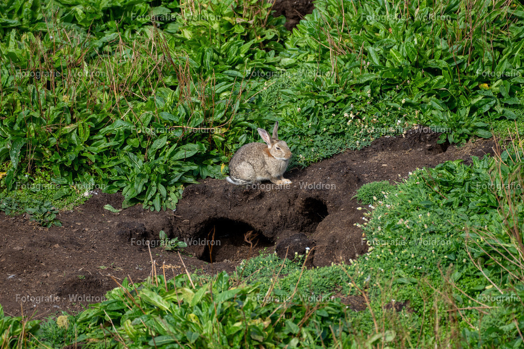 20230815 Isle of Sky - St.Andrews - Dundee-96 | Fotografie Woldron