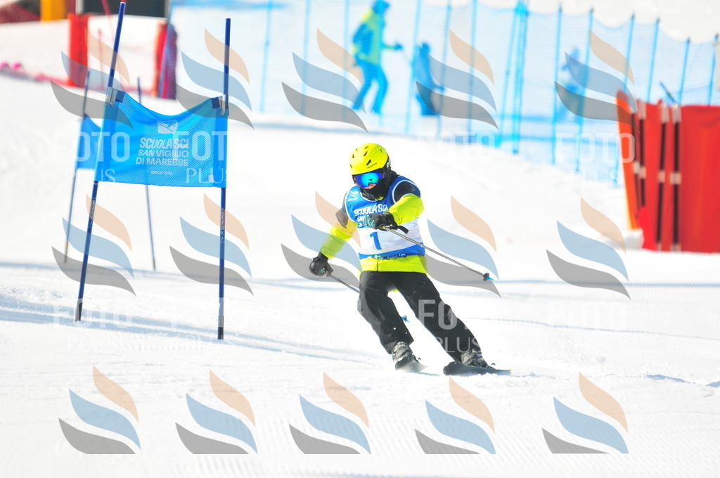 B8923 | holidayphoto