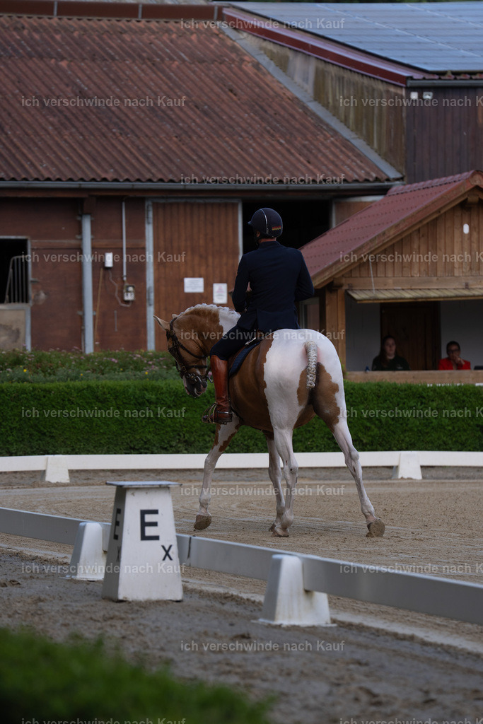 WS_DR_122_sinafilmart_IN00167 | working equitationturnier fotograf videograf stoibphotography marixx film working equitation deutschland reitsport turnierfotografie eventfotografie equestrian events