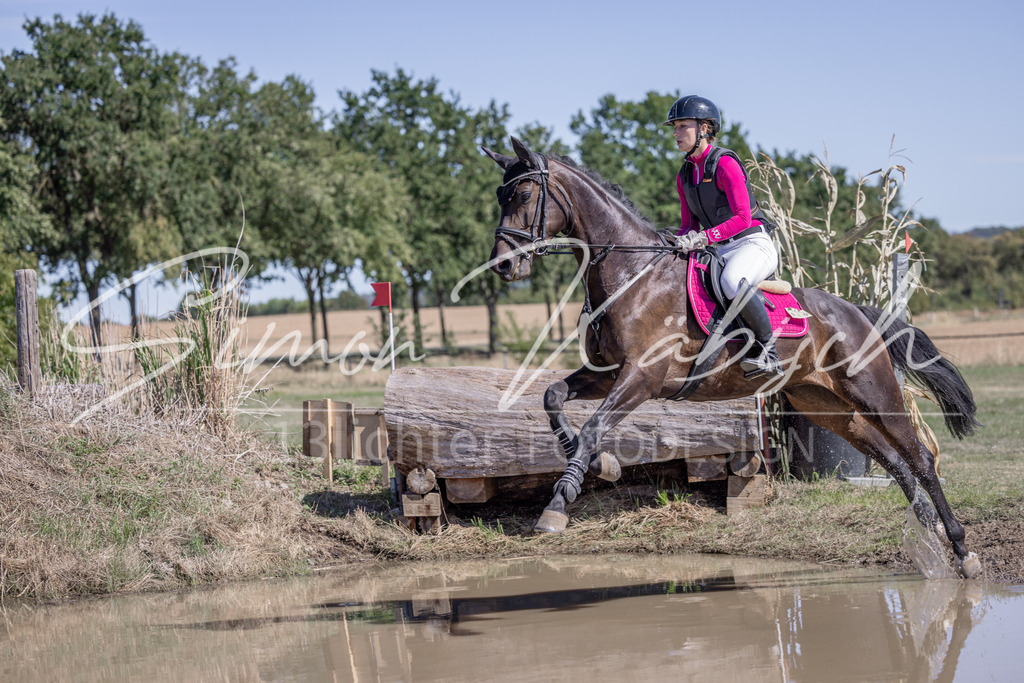 20260906-_3LI4067 | Tierfotografie Pferde, Hunde, Katzen, Haustiere.
Turnierfotografie Reitturniere, Reiten, Springreiten, Dressur in Hanau, dem Main-Kinzig-Kreis und dem Rhein-Main- Gebiet um Frankfurt