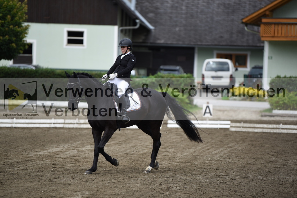 DSC_4370 | equestrian-live-com