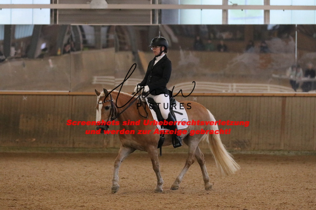 IMG_3488 | lmwpictures - Realisiert mit Pictrs.com