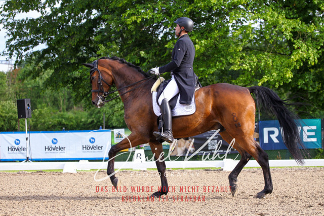 DKP41751 | Turnierfotos kaufen im Webshop von Daniel Kuhl Photography – entdecke professionelle Reitsportfotos aus Turnieren & Events. Hochwertige Turnierbilder online bestellen & sichern. Jetzt Fotos von Reitsportturnieren kaufen!